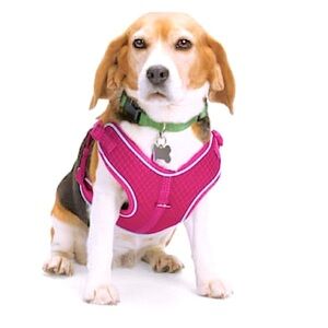 🆕 EVERYAY Pink Reflective Trim Dog Harness EMBRACE THE PACE SIZE XS / S